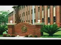 Chris Collins reports to Florida prison