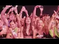 Zedd - Stay The Night ft. Hayley Williams LIVE at Lollapalooza 2024