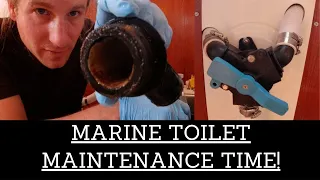 Jabsco Y-Valve Servicing On A Lavac Marine Toilet | Ep. 36 | Gasket Replacements and Calcium Removal