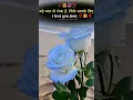 https media tenor merry-christmas-xmas gif