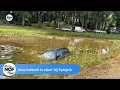 Download Lagu Auto belandt in vijver bij Gytsjerk