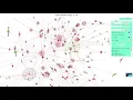 3D Force base visualisation