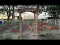 Costco Arbor Trellis