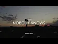 【和訳】Nobody Knows【歌詞】P!nk