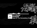 Mass Of The Fermenting Dregs - Kirametal - 02 I F A Surfer