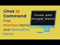 Bash script to find network interface name in Linux with ip command