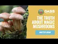 The Truth About Magic Mushrooms Can You Smoke Them Oasis Recovery Center Blogs