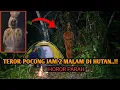 Download Lagu HOROR‼️ TEROR POCONG DI HUTAN SENDIRIAN JAM 2 MALAM-PANIK, DALAM TENDA