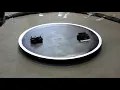 mini sumo mufe 2019 11