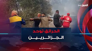 الحرائق توحد الجزائريين .. هبة تضامنية رسمية وشعبية لإغاثة الضحايا