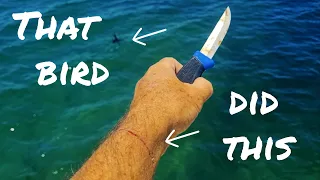 Boat life rescue in shark bay -Sailing Western Australia  Ep 143