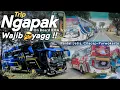 Lagu OBRAK-ABRIK JALUR SELATAN !! TRIP KESINI SELALU PENUH AKSI ! Naik RMA Trans Purwokerto ke Cilacap