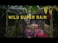 Lagu Building a Bushcraft Hut in Heavy Rain Beside a Creek | Bushcraft Heavy Rain with My Friend‼️