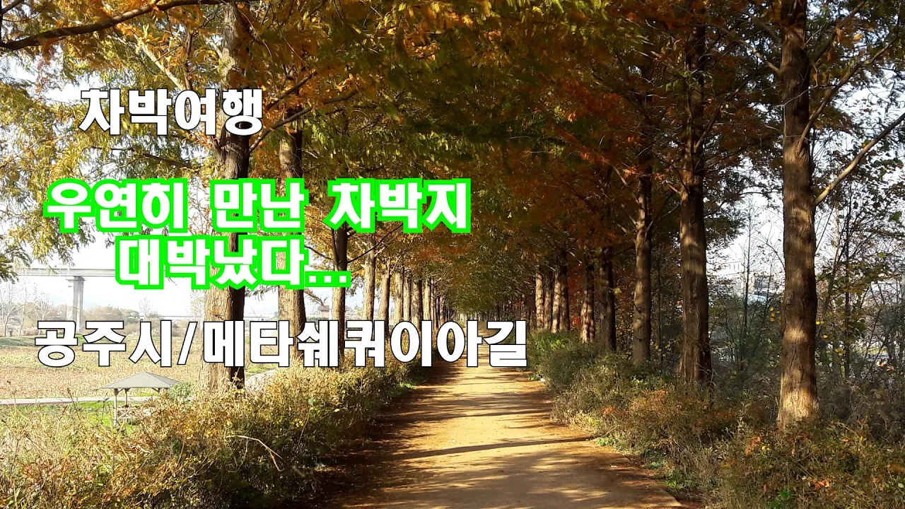 우연히 만난 대박 차박지...차박여행의 묘미 동화같은 풍경/공주시 메타쉐쿼이아길...성공한 인생이다 썸네일