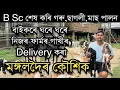 Download Lagu BSc পাছ কৰি মঙ্গলদৈৰ কৌশিকৰ গৰু,ছাগলী,মাছপালন Goat farming in Assam।Dairy farming in Assam #farming 