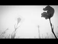spiritbox - perfect soul (slowed)