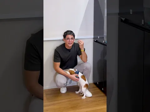 ERREI! Minha nova Geladeira Samsung Bespoke AI RM90F com TELA!