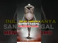 Download Lagu Inilah tandanya santet gagal mengenai kamu #feedshorts #islamicshorts