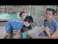 Download Lagu The house was not sturdy so the Elephant boy slipped and got injured