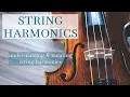 Download Lagu Understanding String Harmonics
