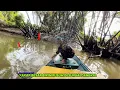 Download Lagu Setelah Di terjang Badai, Kakap Besar Kabur Di Sungai Kecil \u0026 Dangkal. #fishing
