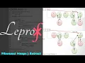 Algorithms 17 Data Structures Fibonacci Heaps Extract part - 4 LE PROF