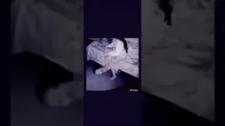 فلم رعب قصير 