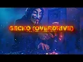 Oliver Heldens - Gecko (Overdrive) [Vibes Remix]