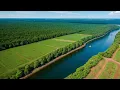 Top 10 environmental conservation initiatives