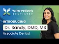 Introducing Dr Sandy Valley Pediatric Dentistry Central PA Dentist