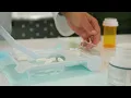 AUHS School of Pharmacy Pharmacy Practice - Pill Counting