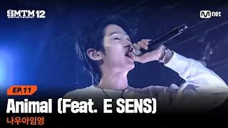  smtm12 11 animal feat e sens mnet 260326 