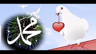 يا طيور الوادي روحن على طيبه 