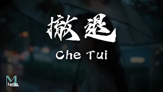 chen wen fei che tui lyrics pinyin english translation 