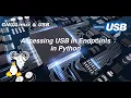 USB - Accessing USB In Endpoints in Python
