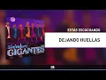 Dejando Huellas, Los Gigantes Del Vallenato - Audio