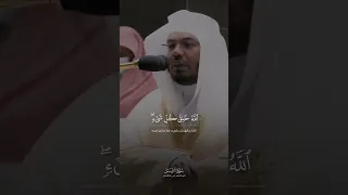 ويوم القيامة ترى الذين كذبوا على الله وجوههم مسودة تلاوة خاشعة للشيخ ياسر الدوسري من سورة الزمر  ويوم القيامة ترى الذين كذبوا على الله وجوههم مسودة تلاوة خاشعة للشيخ ياسر الدوسري من سورة الزمر