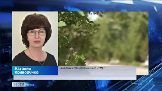 В Омской области на этой неделе придут дожди