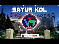 Download Lagu DJ LAGU BATAK TERBARU - SAYUR KOL