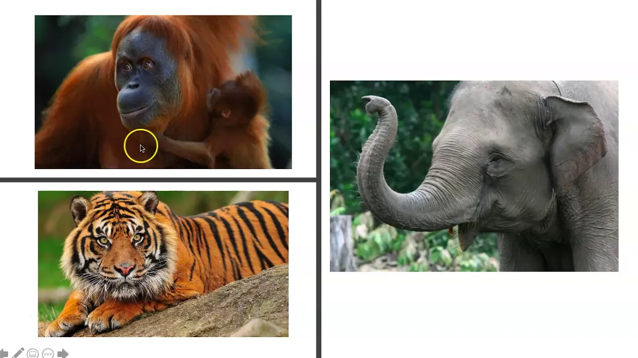 Threats to Biodiversity