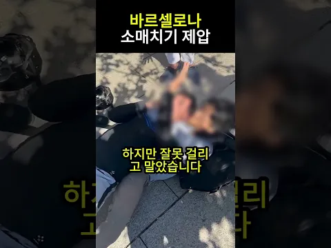 관광객한테 털린 도둑