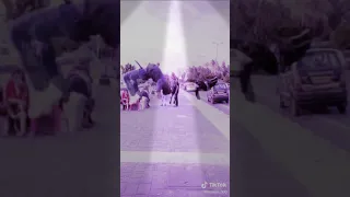 يقلب باركورد 