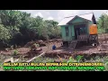 Download Lagu Belum satu bulan bermukim ditransmigrasi lahan pak karni sudah siap ditanami bawang pre