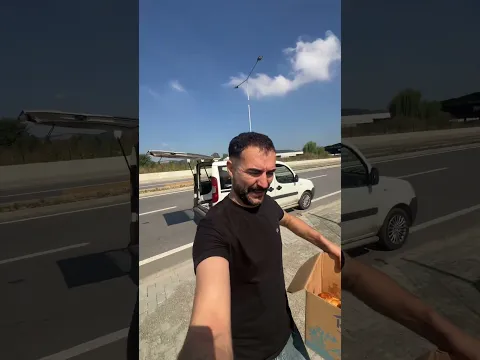 Yol kenarında simitçinin gelmesini bekleyen sevimli köpekler saati nasıl biliyorlar
