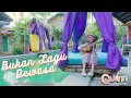 Download Lagu Bukan Lagu Dewasa - Quinn Salman (Official Music VIdeo)