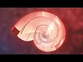 Apparat - Dawan