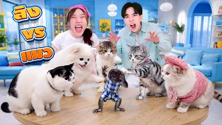 ลิง เจอ แมว ครั้งแรก