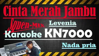 Download LAVENIA - CINTA MERAH JAMBU - MIX [[ KARAOKE KN7000 ]] NADA PRIA MP3