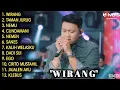Lagu WIRANG, TAMAN JURUG - DENNY CAKNAN FULL ALBUM TERBARU 2023 TANPA IKLAN