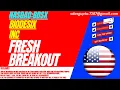 BIODESIX STOCK FRESH BREAKOUT BDSX STOCK